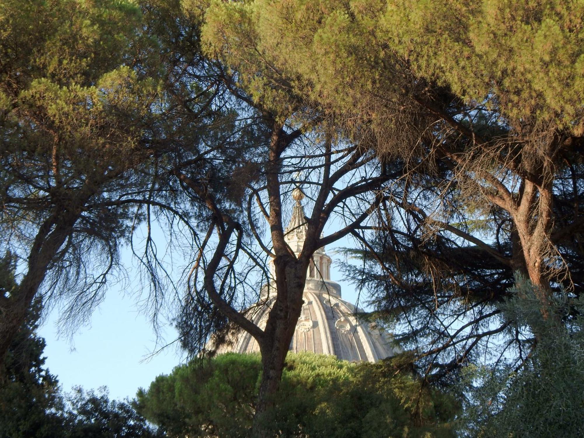 Meraviglia A San Pietro Cupolhome Da Flavio *